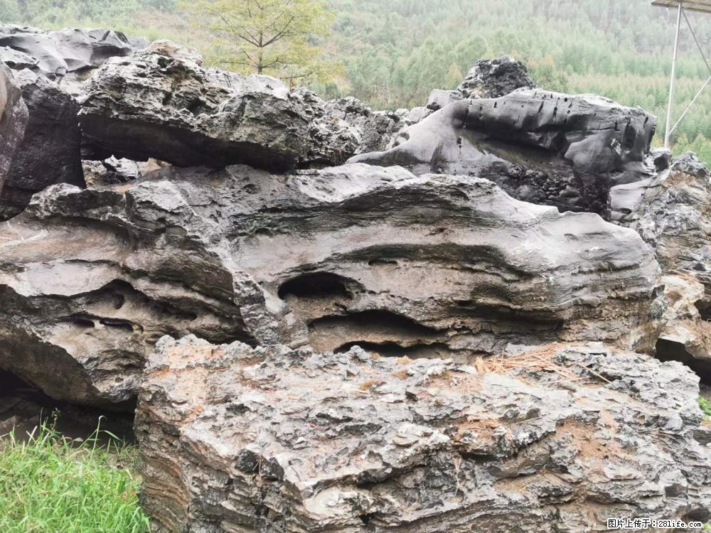 风景石、假山石大量有货，有需要的欢迎联系 - 新手上路 - 鄂州生活社区 - 鄂州28生活网 ez.28life.net
