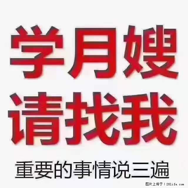 为什么要学习月嫂，育婴师？ - 其他广告 - 广告专区 - 鄂州分类信息 - 鄂州28生活网 ez.28life.net