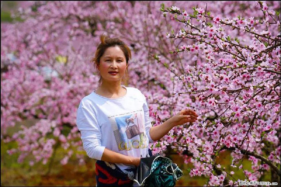 【春天,广西桂林灌阳县向您发出邀请!】官庄村有个醉美的桃花园 - 游山玩水 - 鄂州生活社区 - 鄂州28生活网 ez.28life.net