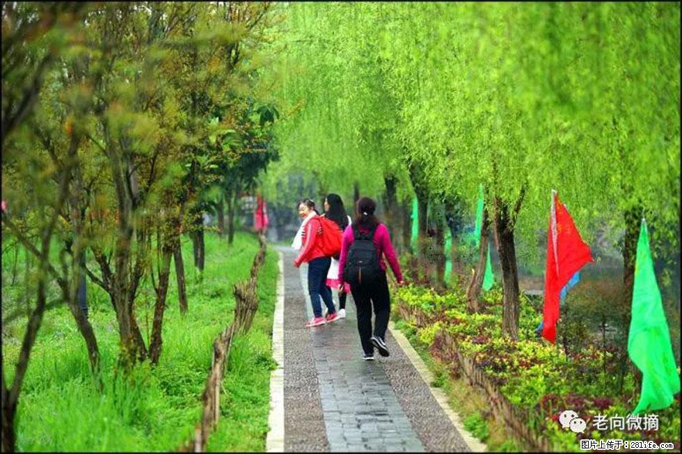 【春天，广西桂林灌阳县向您发出邀请！】江口老街又逢春 - 游山玩水 - 鄂州生活社区 - 鄂州28生活网 ez.28life.net