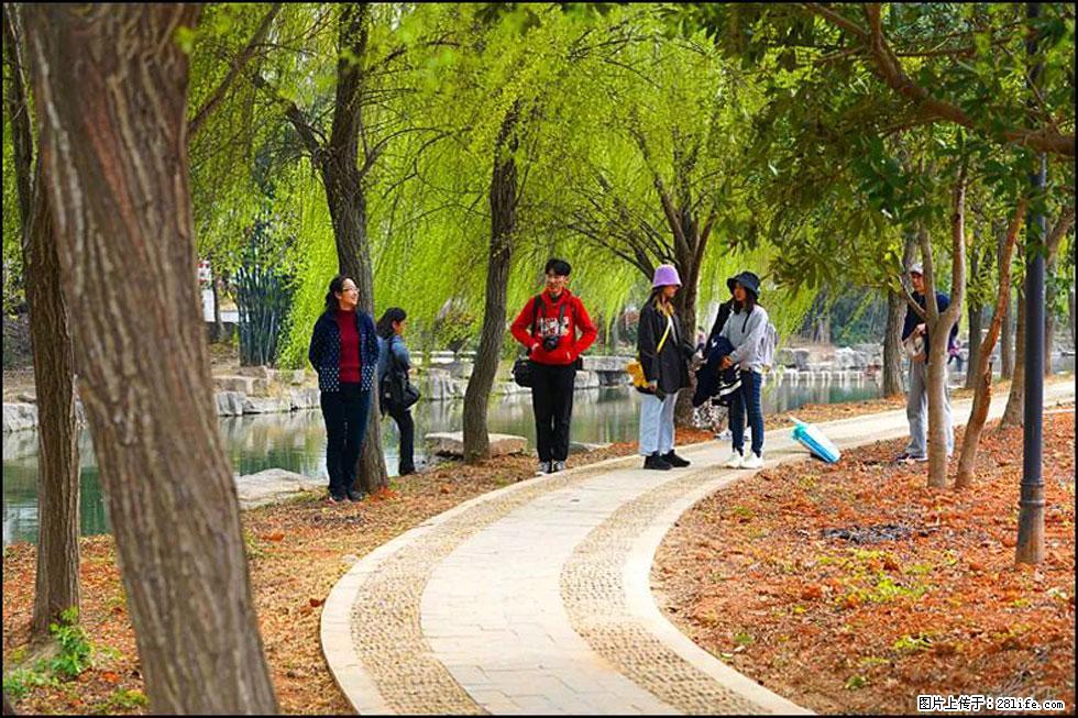 【春天，广西桂林灌阳县向您发出邀请！】江口老街又逢春 - 游山玩水 - 鄂州生活社区 - 鄂州28生活网 ez.28life.net