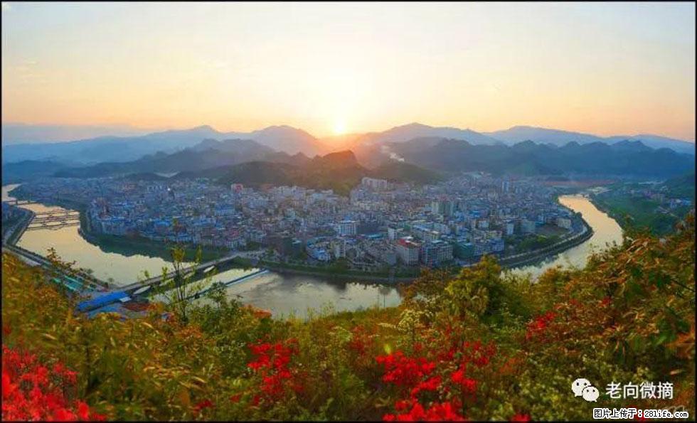 【春天，广西桂林灌阳县向您发出邀请！】登麒麟山，相约映山红 - 游山玩水 - 鄂州生活社区 - 鄂州28生活网 ez.28life.net