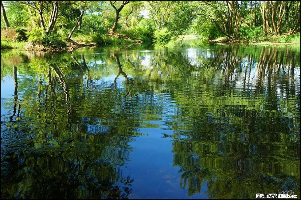 【春天，广西桂林灌阳县向您发出邀请！】熊家寨湿地公园 - 游山玩水 - 鄂州生活社区 - 鄂州28生活网 ez.28life.net