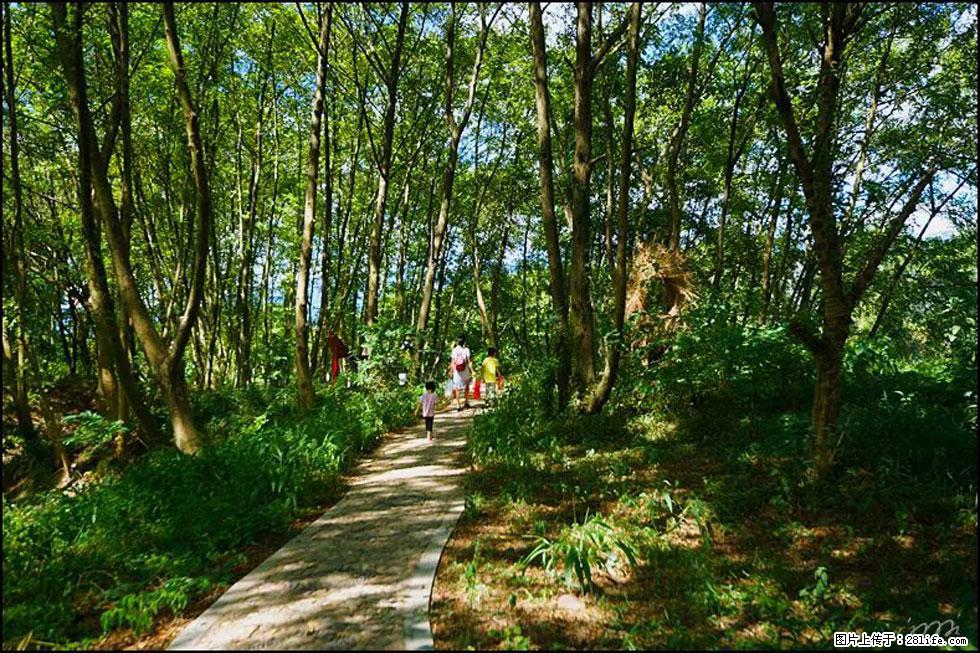 【春天，广西桂林灌阳县向您发出邀请！】熊家寨湿地公园 - 游山玩水 - 鄂州生活社区 - 鄂州28生活网 ez.28life.net