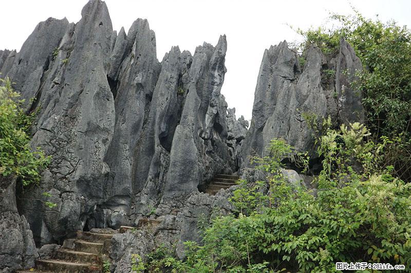桂林旅游名城景点：灌阳文市石林 - 游山玩水 - 鄂州生活社区 - 鄂州28生活网 ez.28life.net