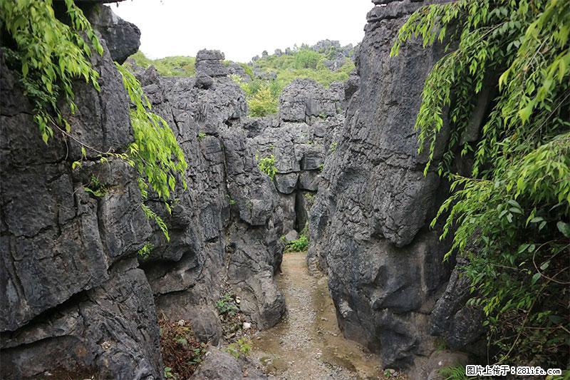 桂林旅游名城景点：灌阳文市石林 - 游山玩水 - 鄂州生活社区 - 鄂州28生活网 ez.28life.net