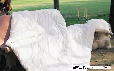 被子有异味？只要这样做，比晒太阳还强100倍！ - 家居生活 - 鄂州生活社区 - 鄂州28生活网 ez.28life.net