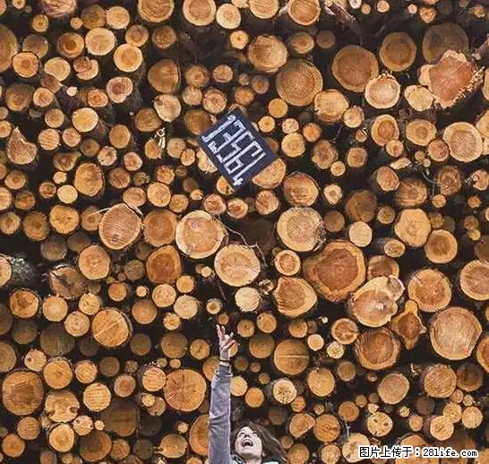 辞掉工作周游世界？现在他们在洗厕所…… - 游山玩水 - 鄂州生活社区 - 鄂州28生活网 ez.28life.net