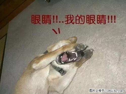 笑癫了！一女的怀孕三年未生，他终于忍不住了... - 娱乐八卦 - 鄂州生活社区 - 鄂州28生活网 ez.28life.net