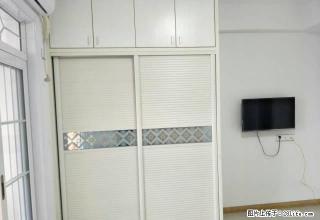 鄂高附近竹林广场 关键舒适 - 鄂州28生活网 ez.28life.net