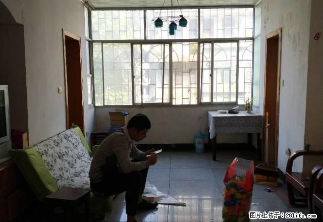 荔湾对面 生活方便 大阳台采光好 保安好 可停车 - 房屋出租 - 房屋租售 - 鄂州分类信息 - 鄂州28生活网 ez.28life.net