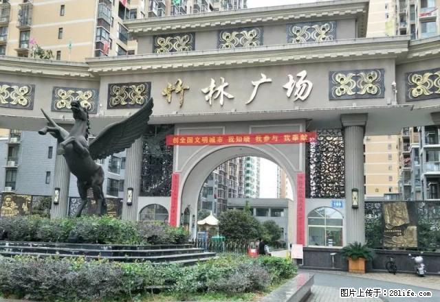 竹林广场 2室1厅1厨1卫精装修 采光好 家电齐全拎包入住 - 房屋出租 - 房屋租售 - 鄂州分类信息 - 鄂州28生活网 ez.28life.net