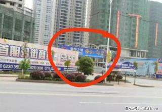 武汉东对面翰林苑小区，高层电梯房出租 - 鄂州28生活网 ez.28life.net