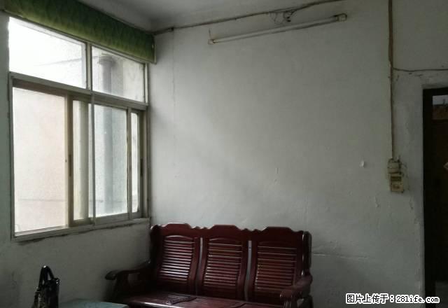 李太婆后面的棉花公司宿舍三楼出租户型好阳光足 - 房屋出租 - 房屋租售 - 鄂州分类信息 - 鄂州28生活网 ez.28life.net