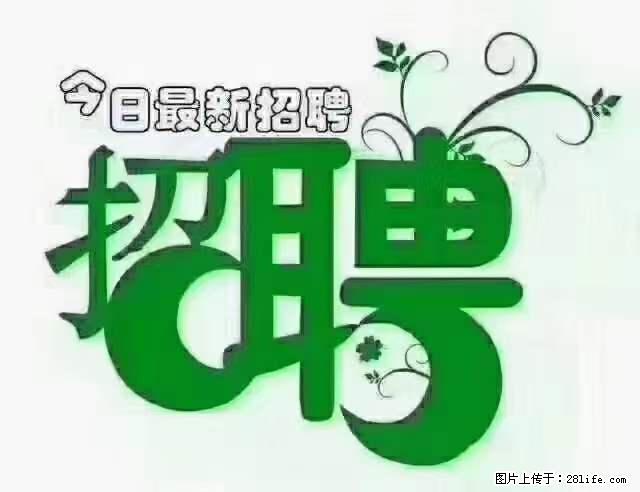 【招聘摄像师】待遇：试用期6000元/月，转正7000元/月+五险一金+餐补+节日福利+奖金 - 职场交流 - 鄂州生活社区 - 鄂州28生活网 ez.28life.net