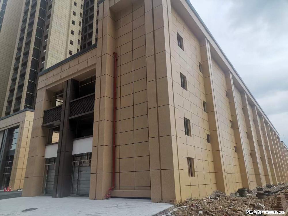 【广西三象建筑安装工程有限公司】外墙涂料工程 - 新手上路 - 鄂州生活社区 - 鄂州28生活网 ez.28life.net
