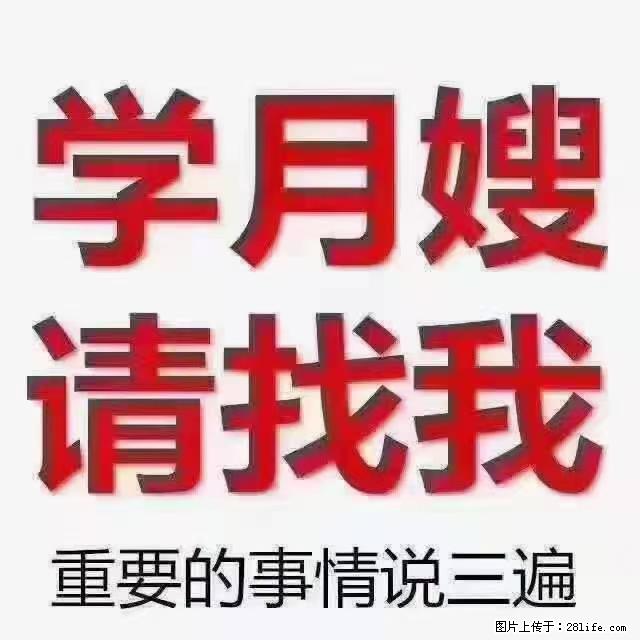 【招聘】月嫂，上海徐汇区 - 职场交流 - 鄂州生活社区 - 鄂州28生活网 ez.28life.net