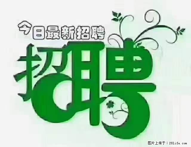 上海隔离酒店招人：55岁以下 男女不限 - 职场交流 - 鄂州生活社区 - 鄂州28生活网 ez.28life.net