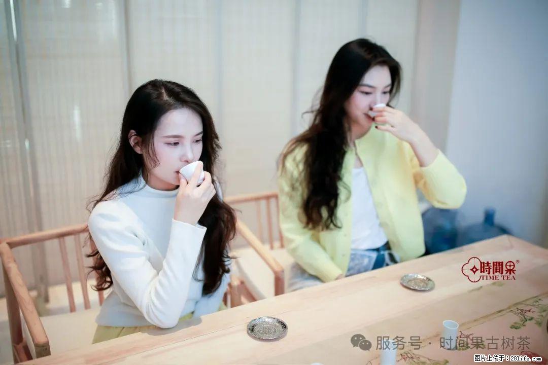 时间果百年古树龙珠普洱生茶 - 购物交流 - 鄂州生活社区 - 鄂州28生活网 ez.28life.net