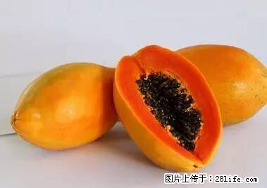 晕车、脚气、牙齿变黄、皮肤粗糙？学会这些三分钟搞定！ - 鄂州生活资讯 - 鄂州28生活网 ez.28life.net