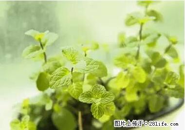 晕车、脚气、牙齿变黄、皮肤粗糙？学会这些三分钟搞定！ - 鄂州生活资讯 - 鄂州28生活网 ez.28life.net