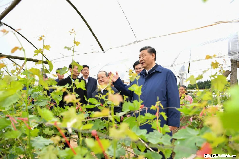 习近平赴广西考察调研 - 鄂州生活资讯 - 鄂州28生活网 ez.28life.net