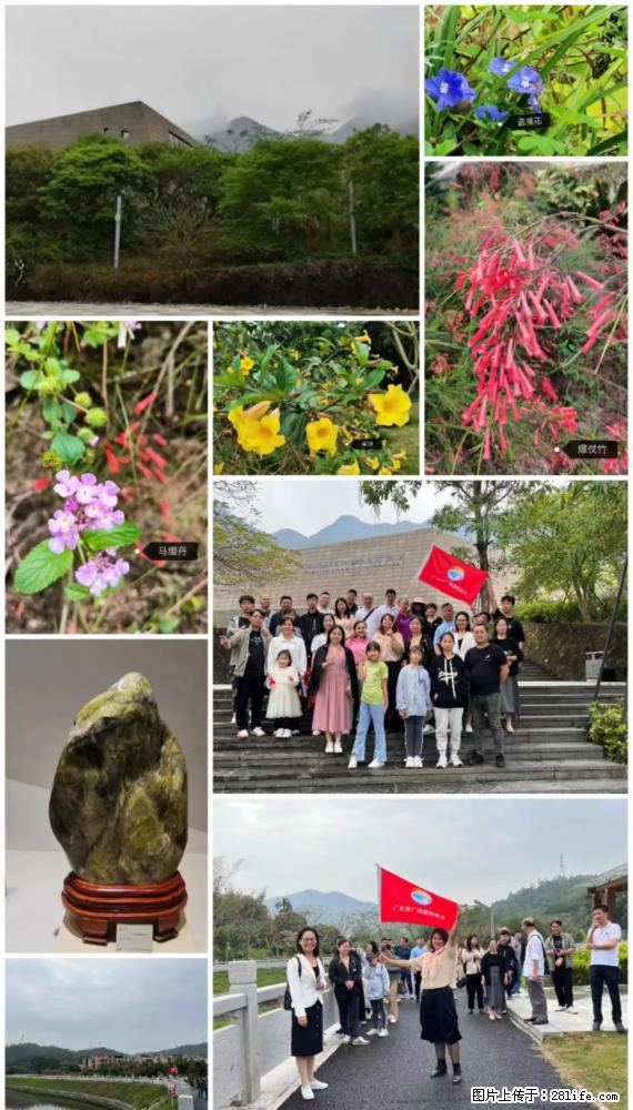 “粤灌文化 美好生活”油茶文化主题活动在广东深圳成功举办 - 鄂州生活资讯 - 鄂州28生活网 ez.28life.net