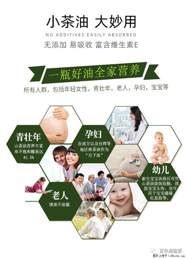 世界没有真相，只有认知，最好的食用油是中国的山茶油！ - 鄂州生活资讯 - 鄂州28生活网 ez.28life.net