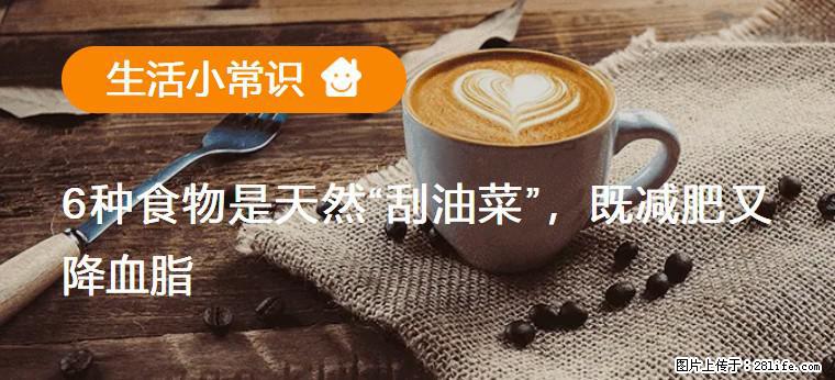 【生活小常识】6种食物是天然“刮油菜”，既减肥又降血脂 - 鄂州生活资讯 - 鄂州28生活网 ez.28life.net