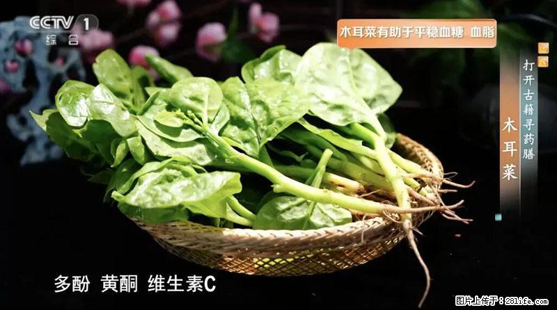 比牛奶补钙还厉害！凉血解毒、稳血糖...这菜冬天必吃，很多人却当草 - 鄂州生活资讯 - 鄂州28生活网 ez.28life.net