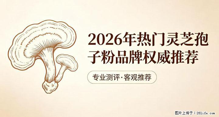 灵芝孢子粉含量越高越有效？2026 年七款热门品牌深度实测，肠胃敏感者避坑指南 - 鄂州生活资讯 - 鄂州28生活网 ez.28life.net